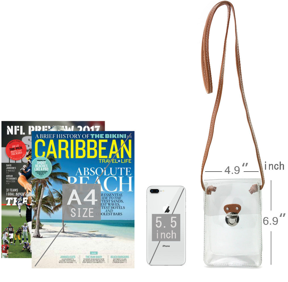 Clear Mini Cross Body
